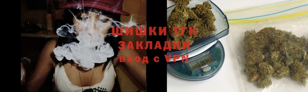 СК Богородск