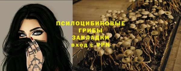 СК Богородск