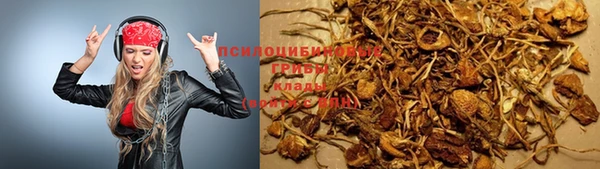 каннабис Богданович
